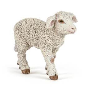 CORDERO MERINO